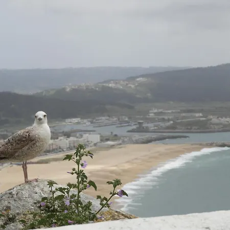 Girasol A * Nazaré